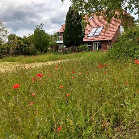 Haus Rosengarten- Ruhige Ferienwohnungen Im Gruenen Sehlen Dış mekan fotoğraf