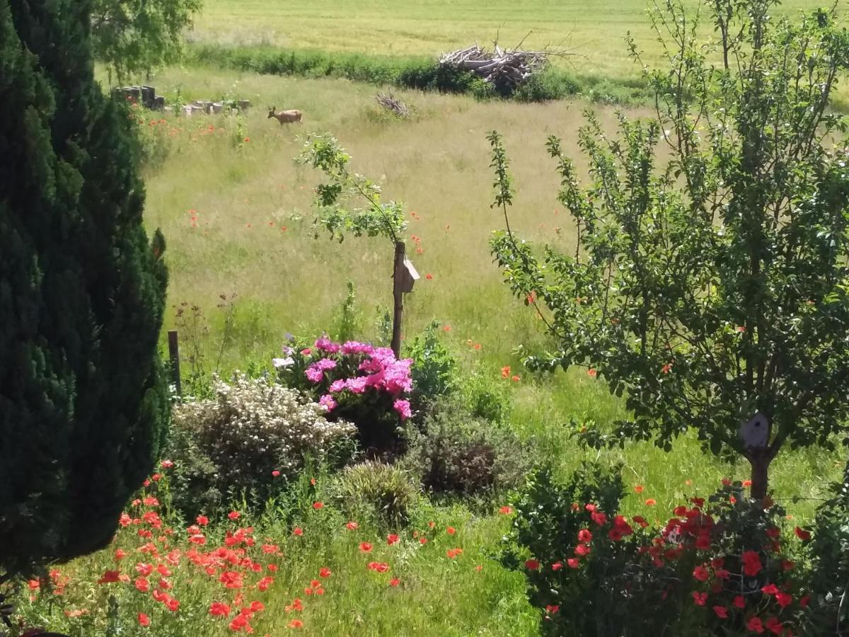 Haus Rosengarten- Ruhige Ferienwohnungen Im Gruenen Sehlen Dış mekan fotoğraf